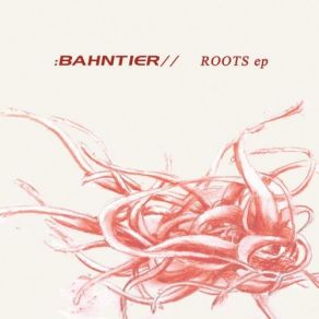 Download track Roots (Drops Remix) Bahntier