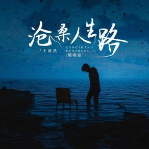 Download track 沧桑人生路 (烟嗓版) 王超然