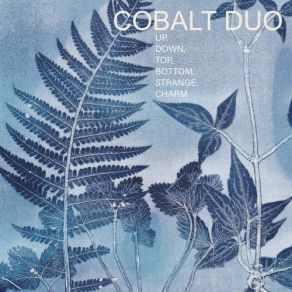 Download track Up, Down, Top, Bottom, Strange, Charm: II. Down Cobalt Duo