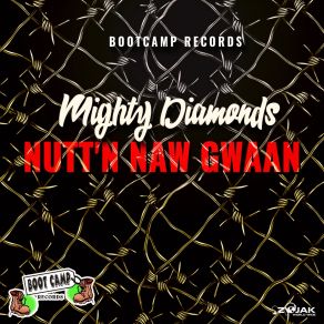 Download track Nutt'n Naw Gwaan The Mighty Diamonds