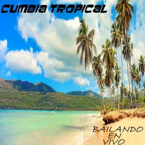 Download track Ritmo Alegre - Grupo Cielo Azul De Sfcv Cumbia Tropical