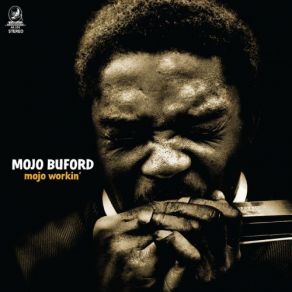 Download track Stingin' Bee Blues Mojo Buford