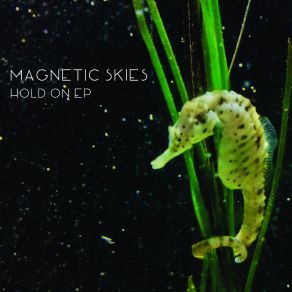 Download track Refugee Magnetic Skies