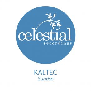 Download track The Mysko Simulation (Original Mix) Kaltec