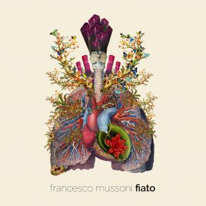 Download track Fiato Francesco Mussoni