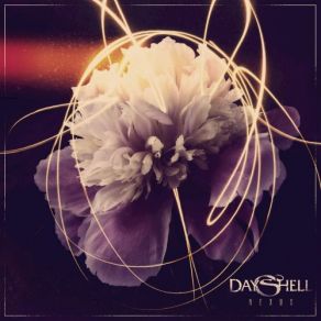 Download track Low Light Dayshell, Dashell