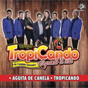 Download track Aguita De Canela Tropicando