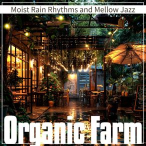 Download track Raindrop Rhythms At Twilight Organic Farm