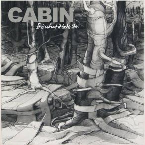 Download track It Is What It Looks Like Cabin