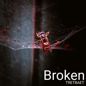 Download track Broken TRETBAET