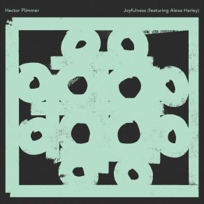 Download track Joyfulness (Radio Edit) Hector Plimmer