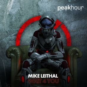 Download track Wait 4 You Mike Leithal