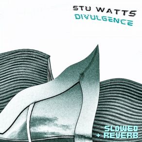 Download track Divulgence (Slowed + Reverb) Stu WattsReverb