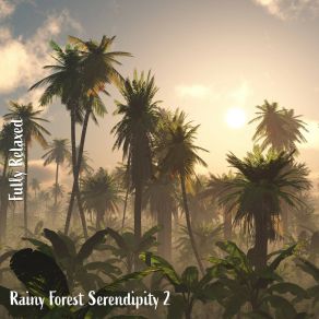 Download track Rainy Forest Serendipity, Pt. 9 Steve Brassel