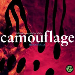 Download track Waiting (Demo) Camouflage