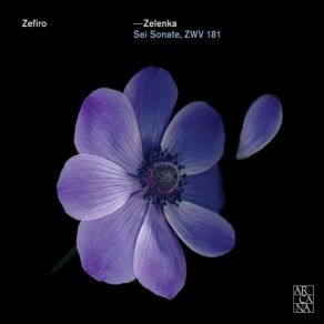 Download track Sonata No. 4 In G Minor, ZWV 181-4- II. Allegro Zefiro