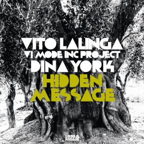 Download track Mega Funk Vito Lalinga (VI Mode Inc. Project), Dina York