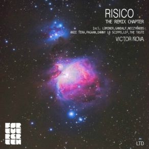 Download track Playground (Lo2 Acid Test) Risico