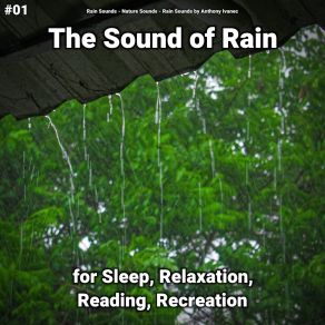 Download track Relaxation Meditation Rain Sounds By Anthony Ivanec