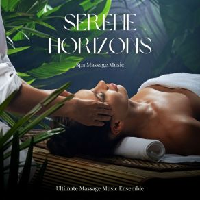 Download track Spa Instrumental Music Ultimate Massage Music Ensemble