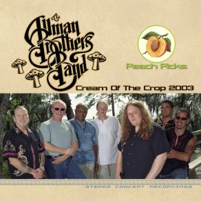 Download track Dreams (Live At Alltel Pavilion At Walnut Creek, Raleigh, Nc, 8 / 10 / 2003) The Allman BrothersNC, The 8