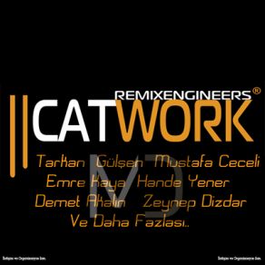 Download track Yolcu Yolunda Gerek Catwork Remix EngineersSedat Yüce