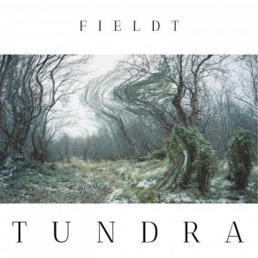 Download track Nachtfahrt Fieldt