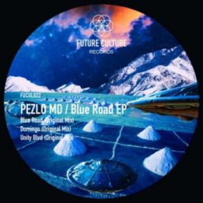 Download track Unity Blvd (Original Mix) Pezlo Md