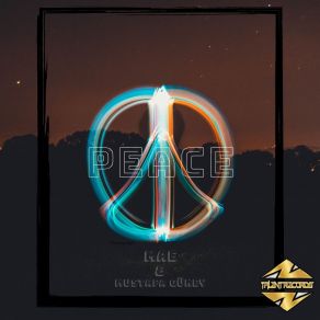 Download track Peace (Radio Edit) The MaeMustafa Guney