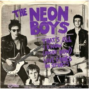 Download track High Heeled Wheels Richard Hell & The Voidoids, The Neon Boys