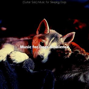 Download track Joyful Separation Anxiety Music For Dogs Ambience