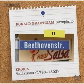 Download track 5. VIII Variations WoO76 1799 Über Tändeln Und Scherzenaus Soliman II Von... Ludwig Van Beethoven