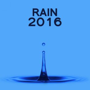 Download track Binaural Rainfall Various Artists