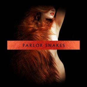 Download track Dirt To Gold Parlor Snakes