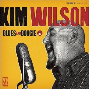 Download track You Upset My Mind Kim Wilson