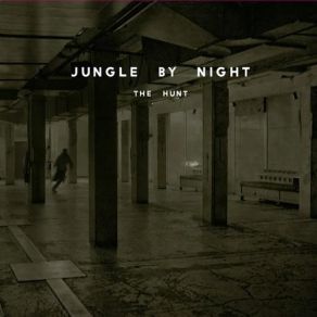 Download track The Move Jungle By Night