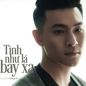 Download track Phai Dau Cuoc Tinh Nguyen Hong An