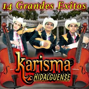 Download track Se Mamo El Becerro Karisma Hidalguense