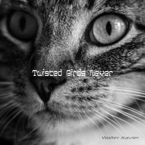 Download track Twisted Birds Never Walter Xavier