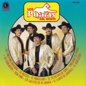 Download track El Agricultor Los Pumas Del Norte