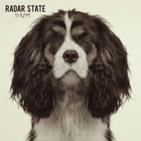 Download track Victims Of Fashion Radar State