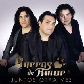 Download track Te Perdí Garras De Amor