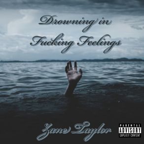 Download track This Is A Fucking Love Song Zane Taylor