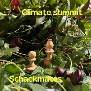 Download track Climate Summit Meeting Blues Schackmates