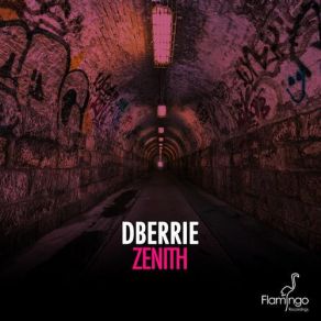 Download track Zenith (Original Mix) DBerrie