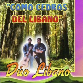 Download track Como Las Avez Que Vuelan Duo Libano