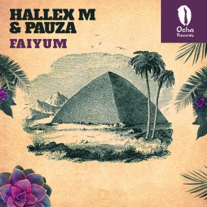 Download track Faiyum (Original Mix) Pauza