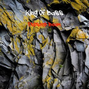 Download track Dubstep Boom 4 King Of Bass