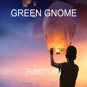 Download track Funkytown (Radio Edit) Green Gnome