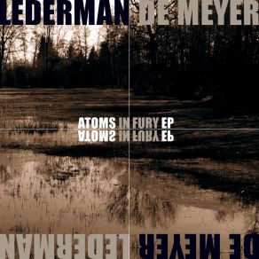 Download track Flowers And Birds And Bees (Rotersand Rework) LedermanRotersand